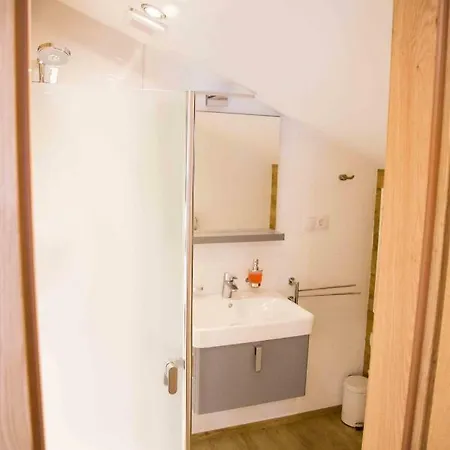 Appartement Haus Filzmoos Extérieur photo