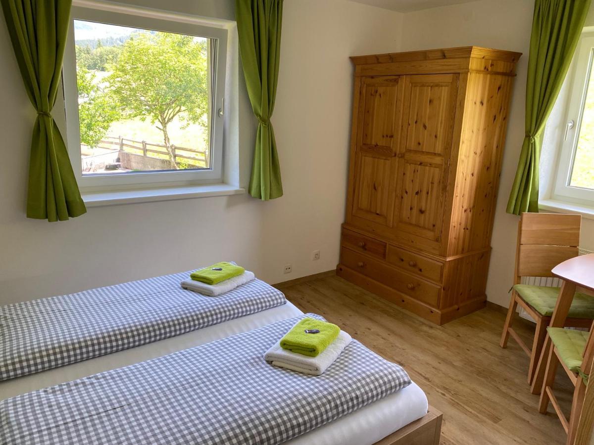 Appartement Haus In Austrian Alps