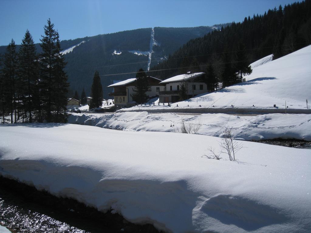 Haus In Austrian Alps Filzmoos