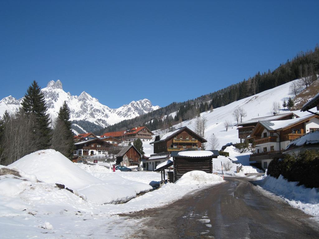 Appartement Haus In Austrian Alps