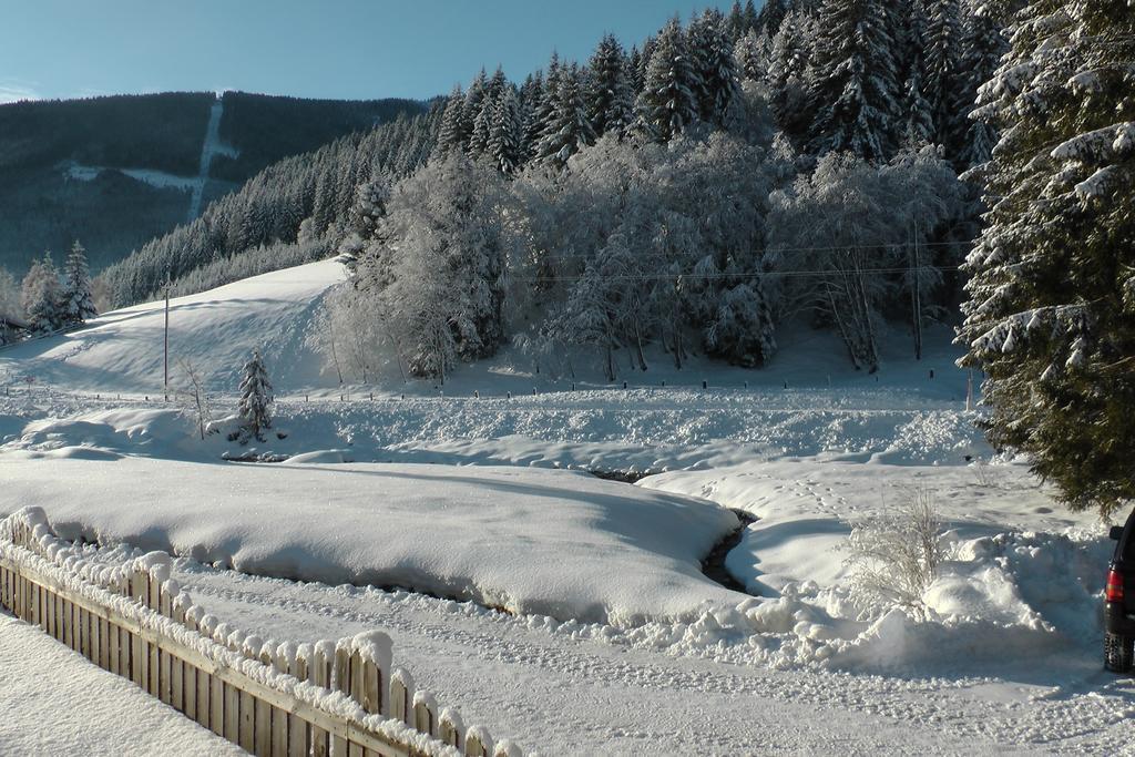 Haus In Austrian Alps *