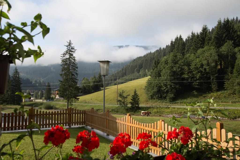 Haus In Austrian Alps Appartement