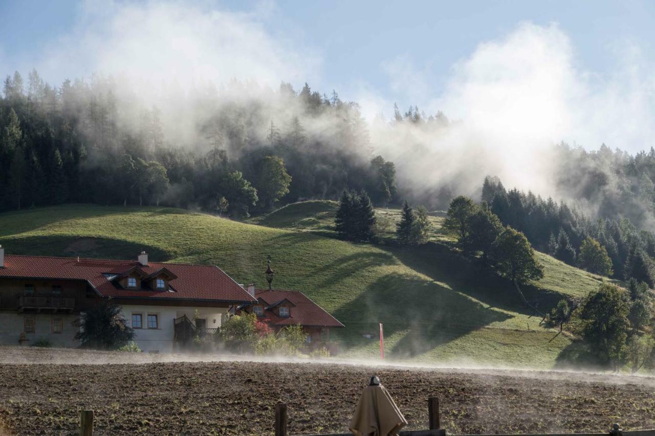 Appartement Haus In Austrian Alps