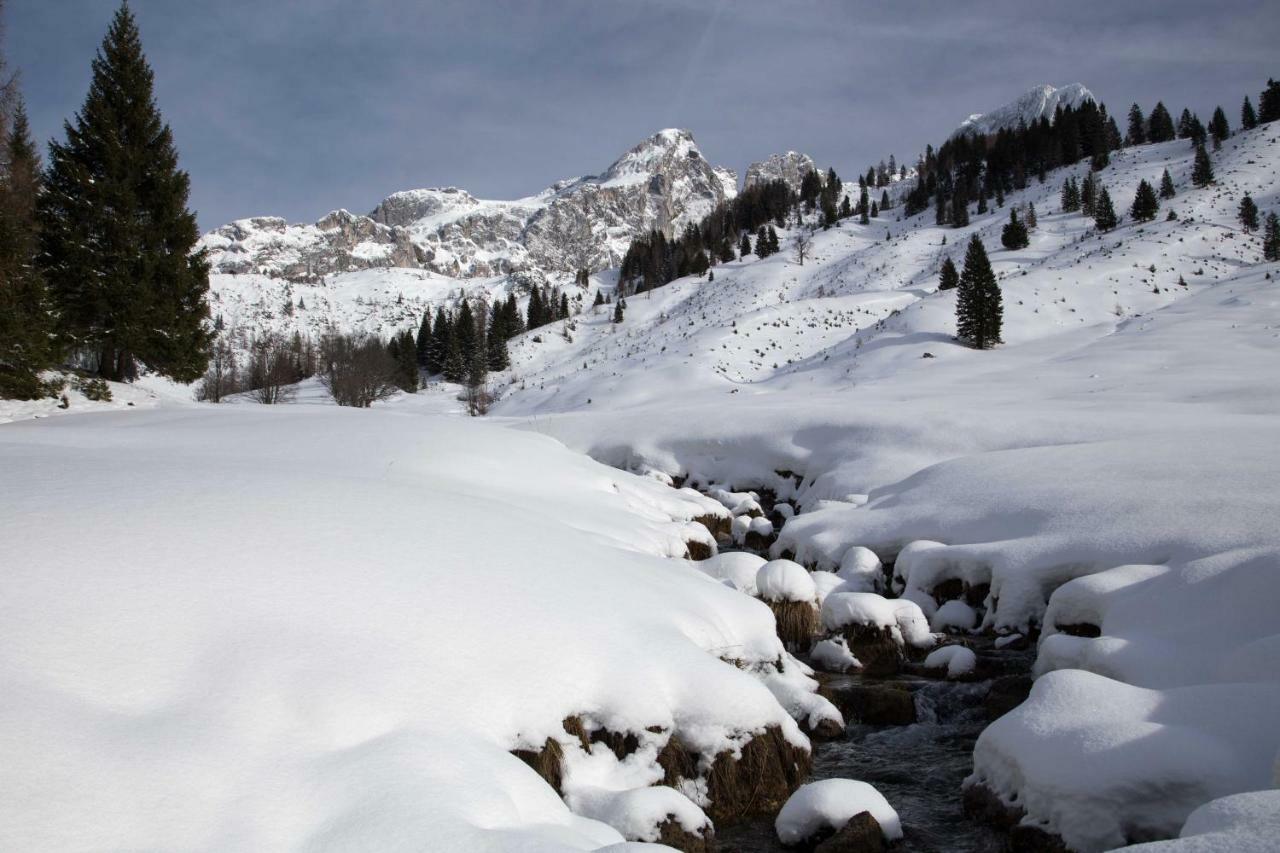Haus In Austrian Alps *