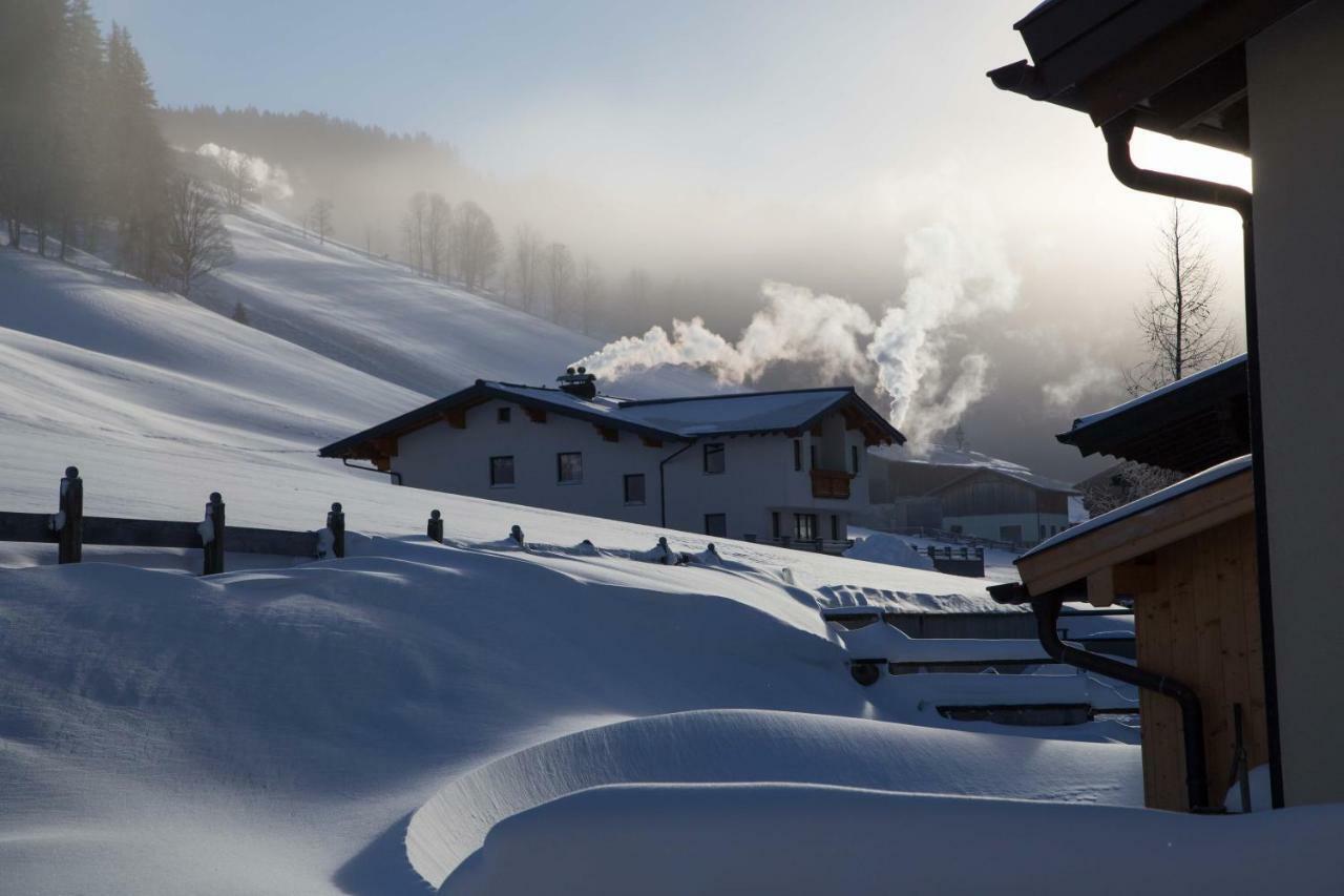 Appartement Haus In Austrian Alps *