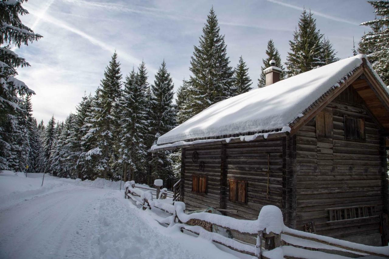 Haus In Austrian Alps Filzmoos