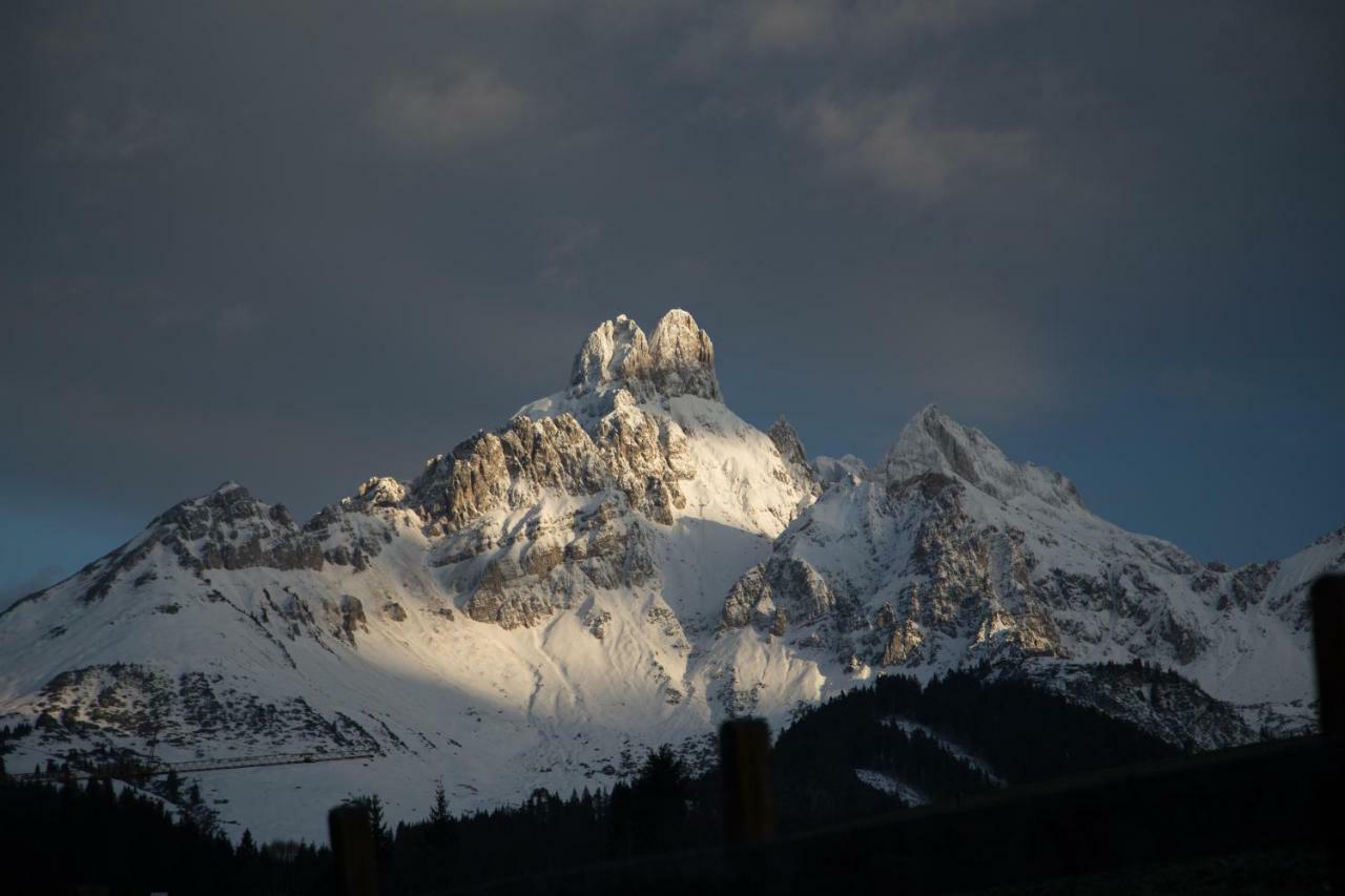 Appartement Haus In Austrian Alps *